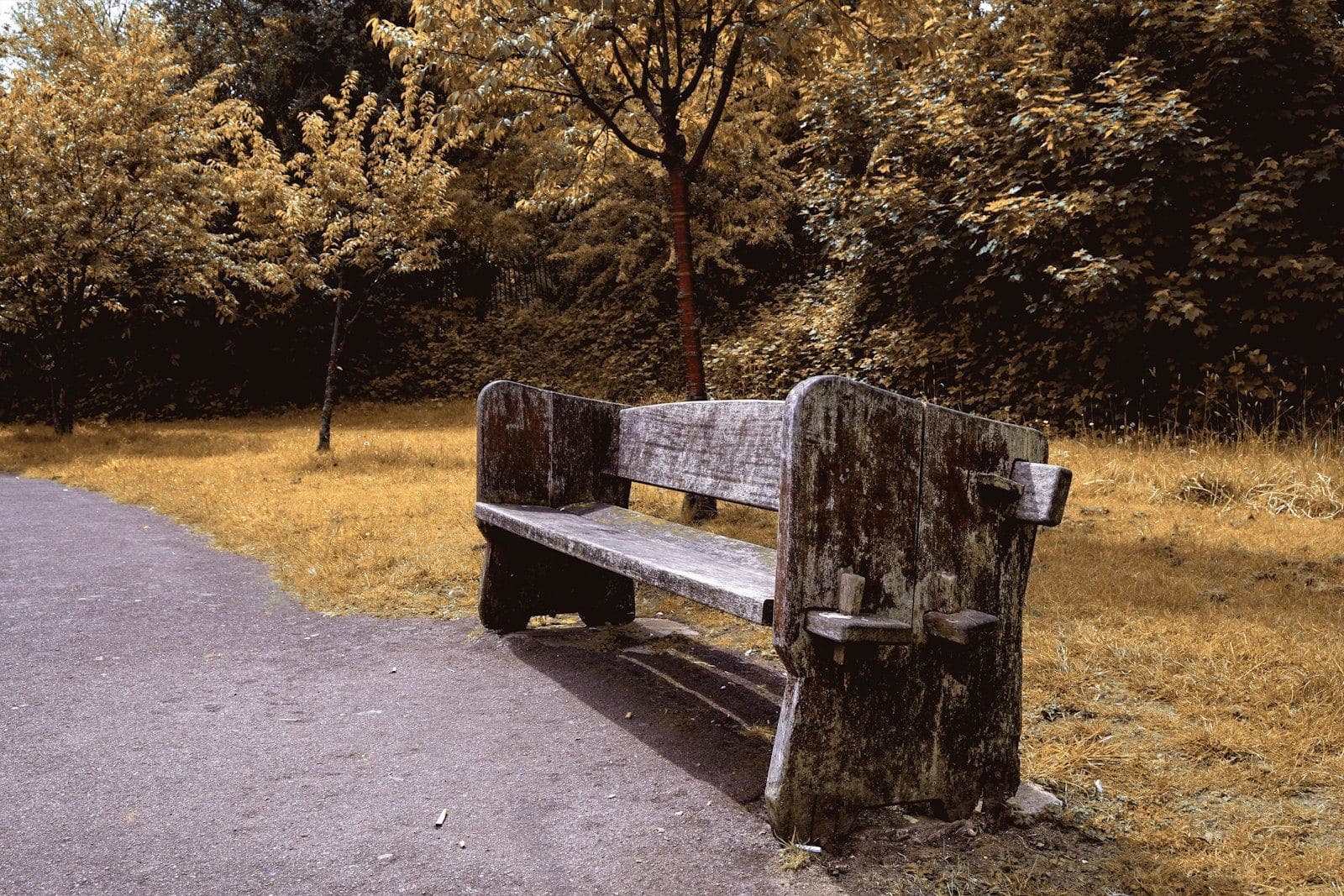 An empty wooden bench beside a path in autumn