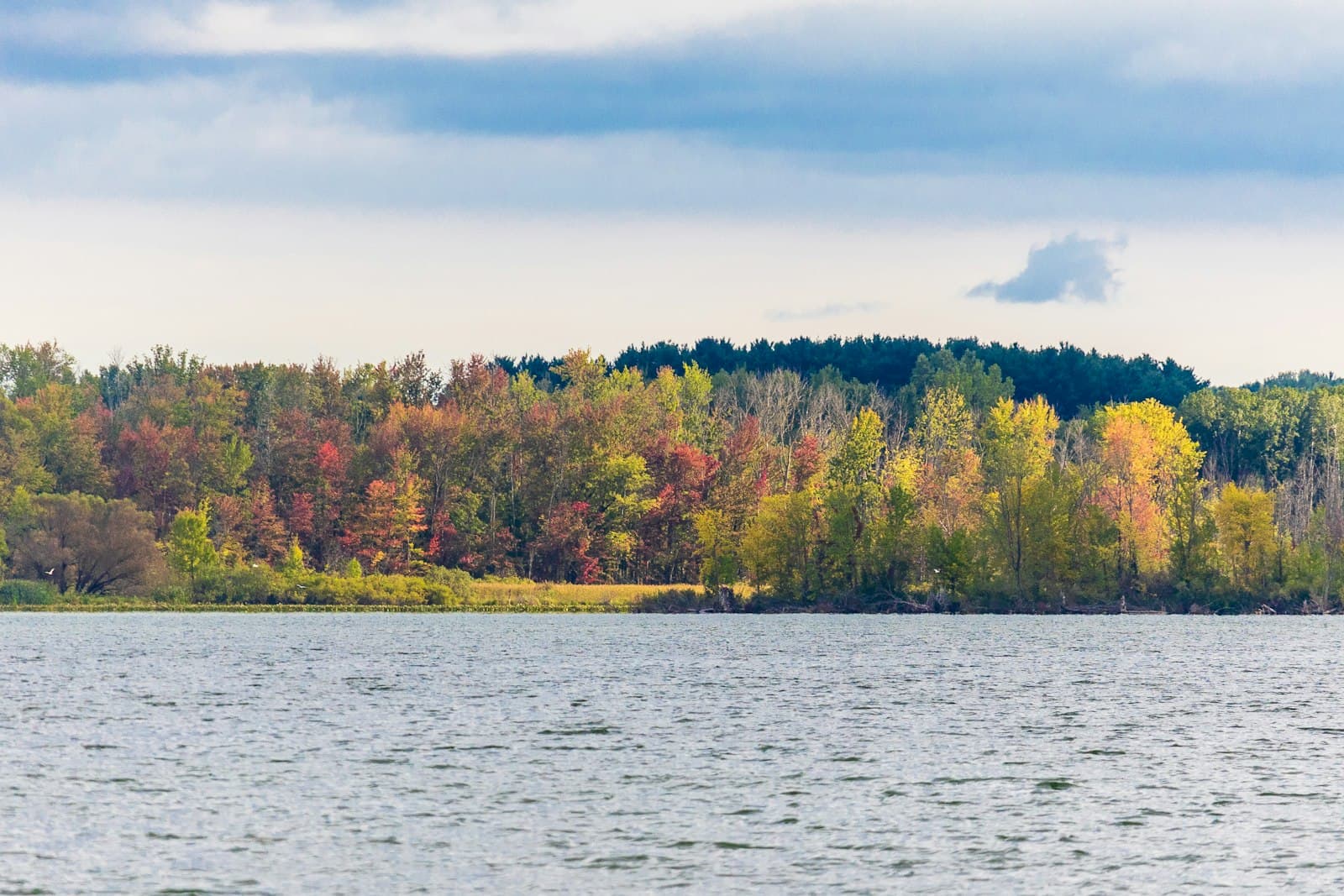 A lake lined with trees in early autumn color