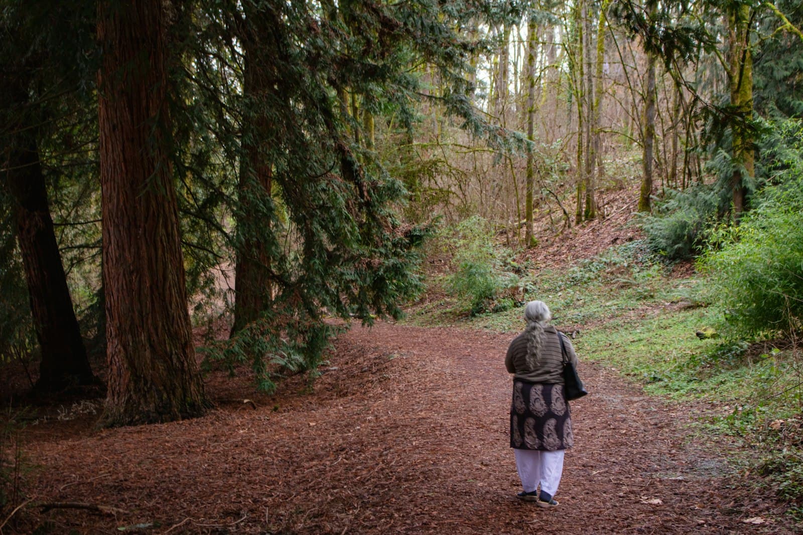 An older woman with a long gray braid walking alone along a forest path