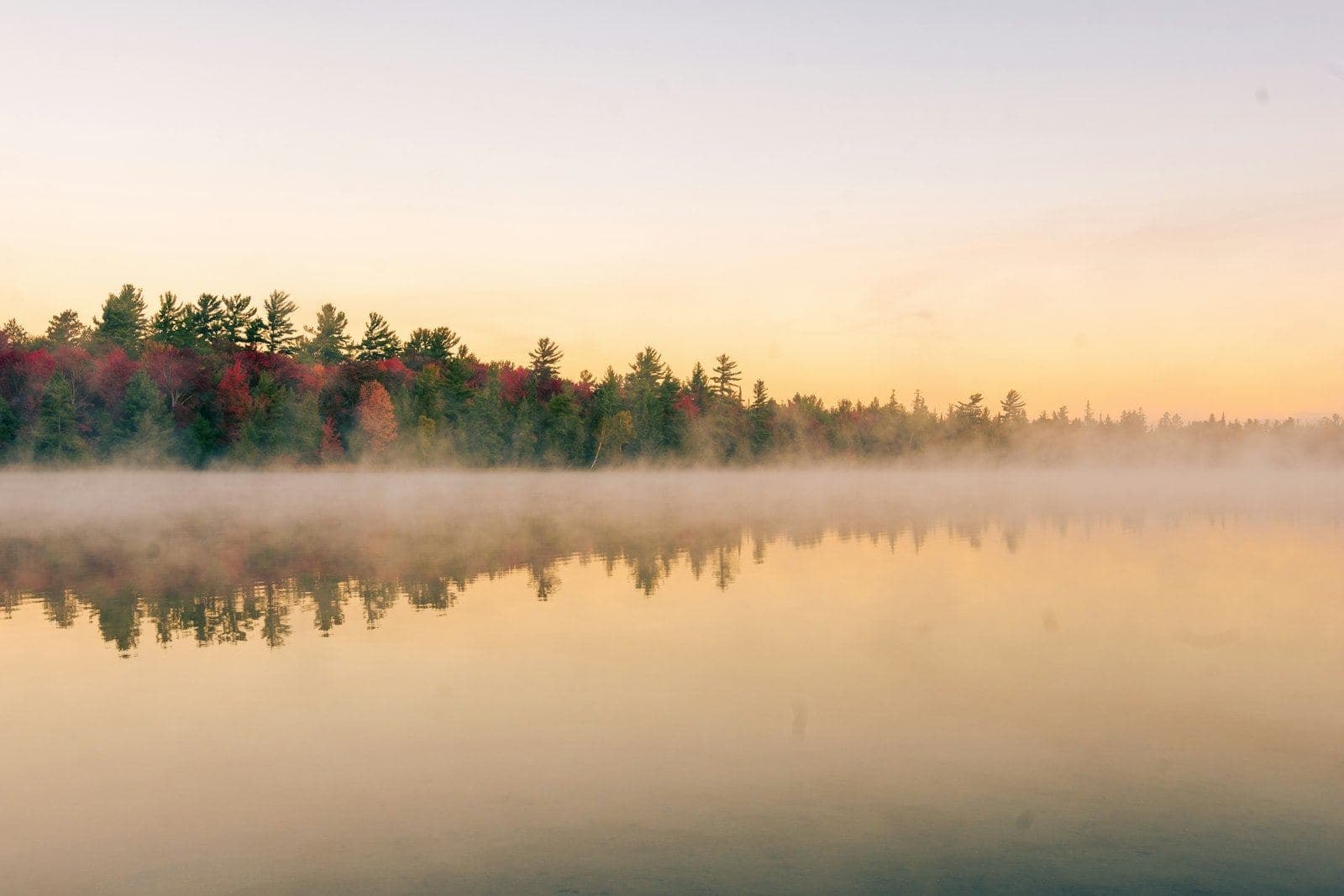 Mist over a still lake at dawn