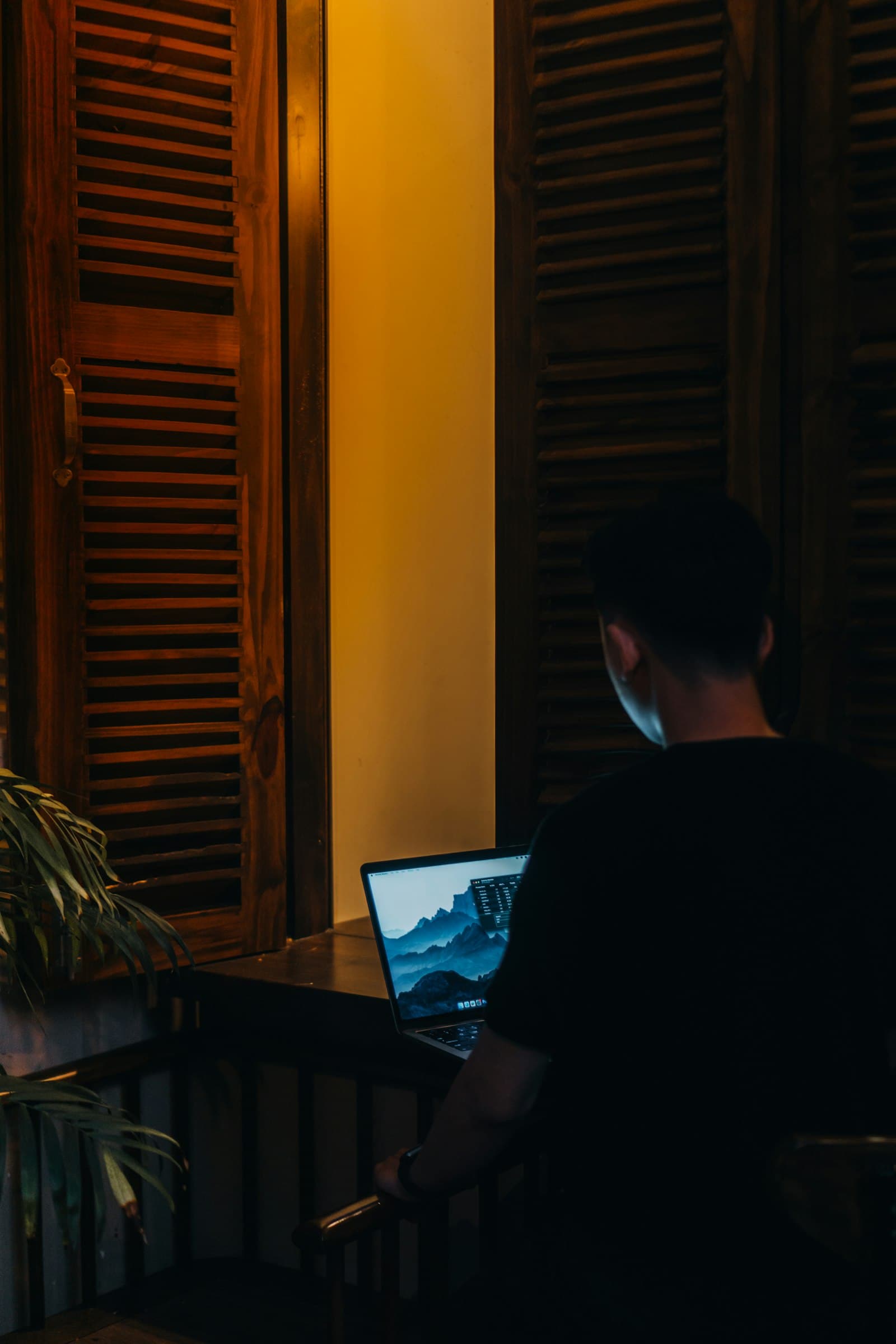 A person seen from behind working on a laptop by a window late at night