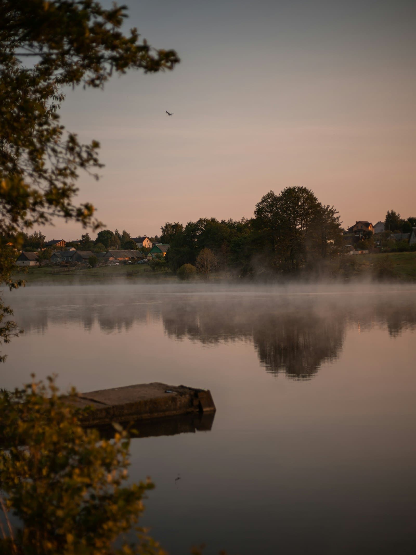 A still lake at dawn with mist over the water and a small wooden dock
