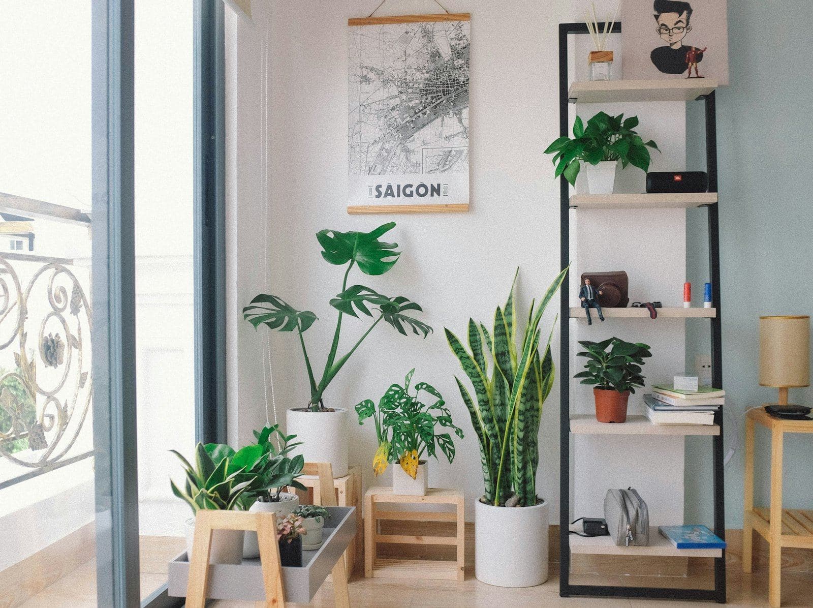 A calm, bright room with plants and shelves