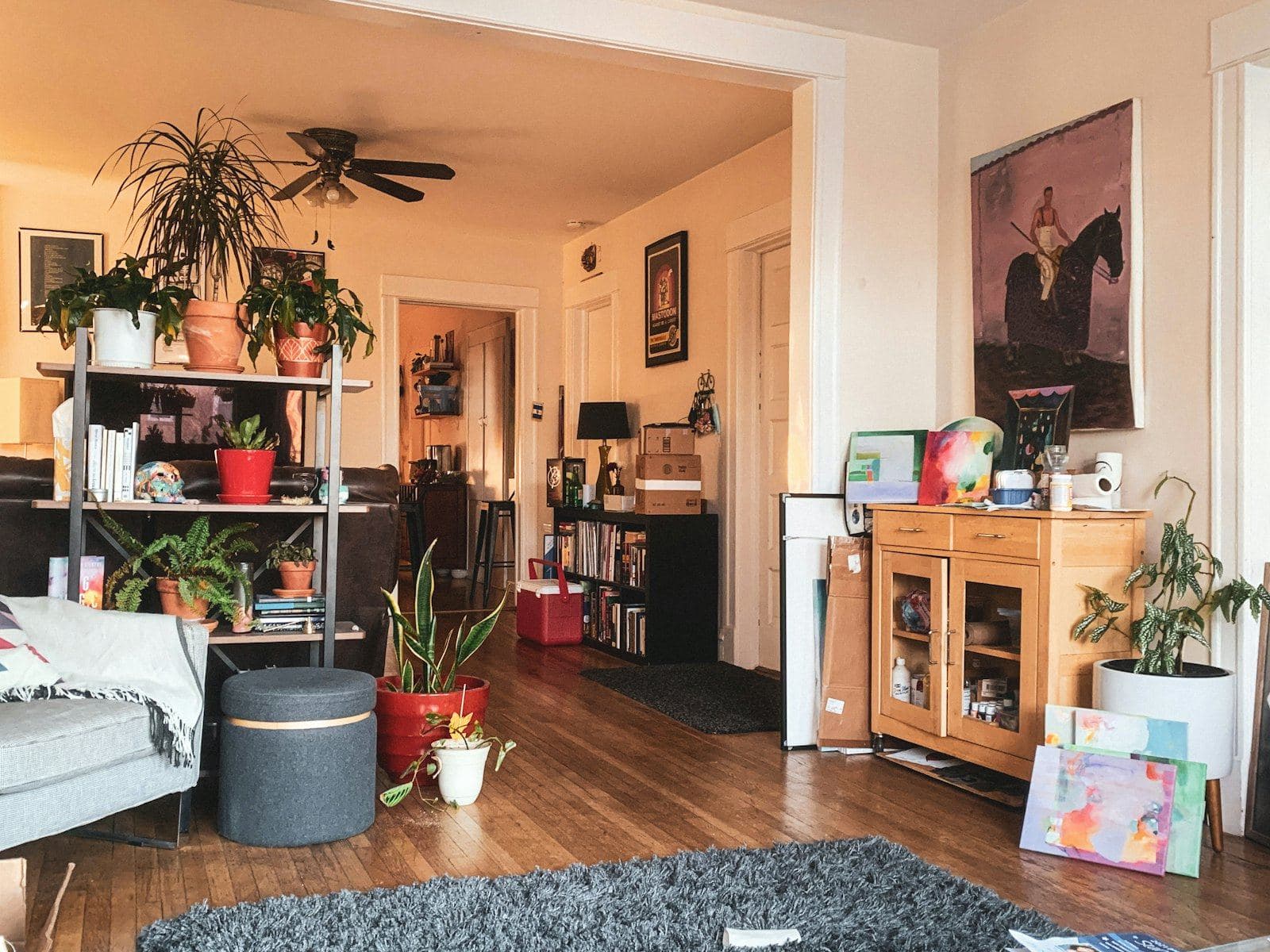 A warm, lived-in room with plants and soft light