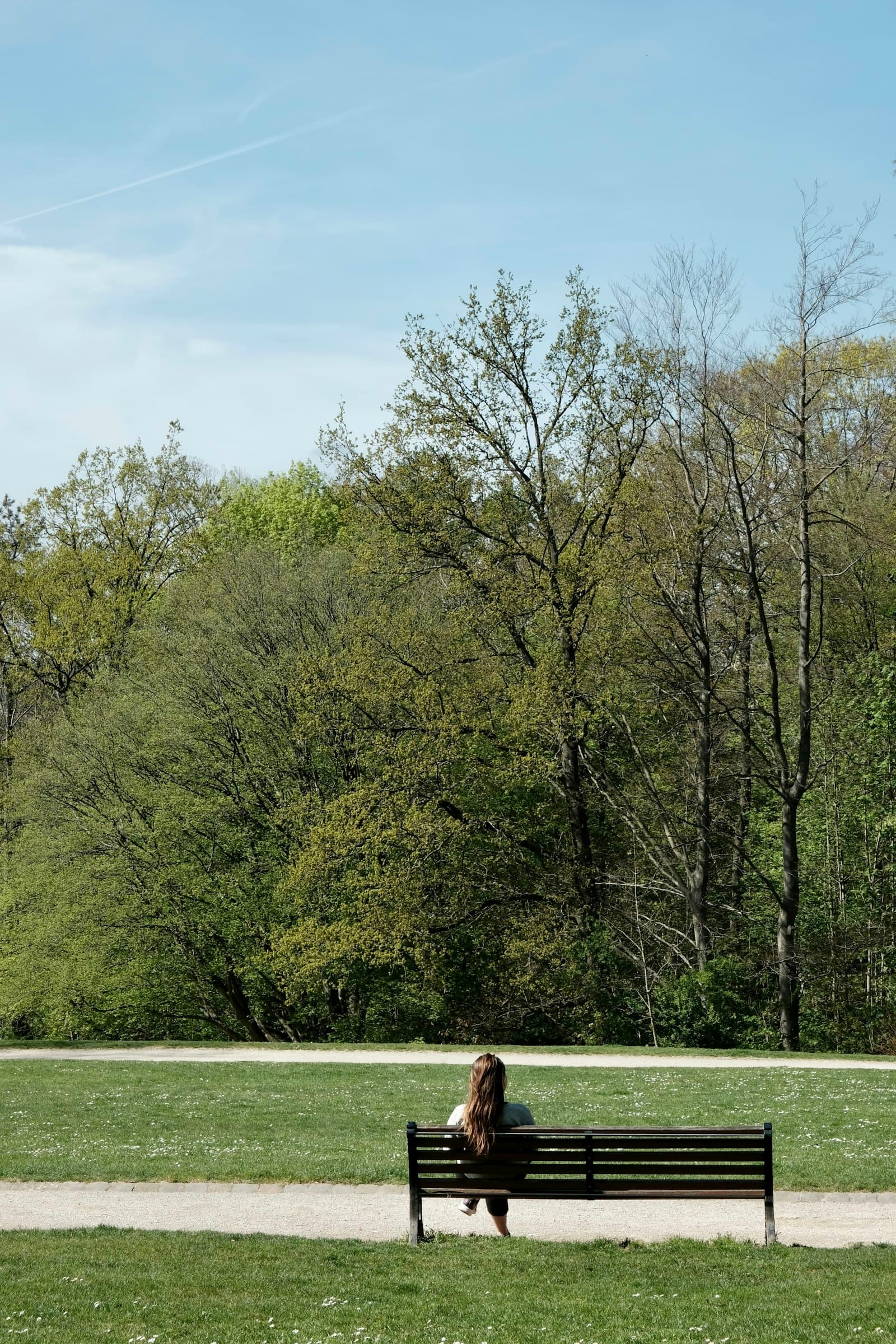 A person sitting alone on a park bench beneath tall spring trees