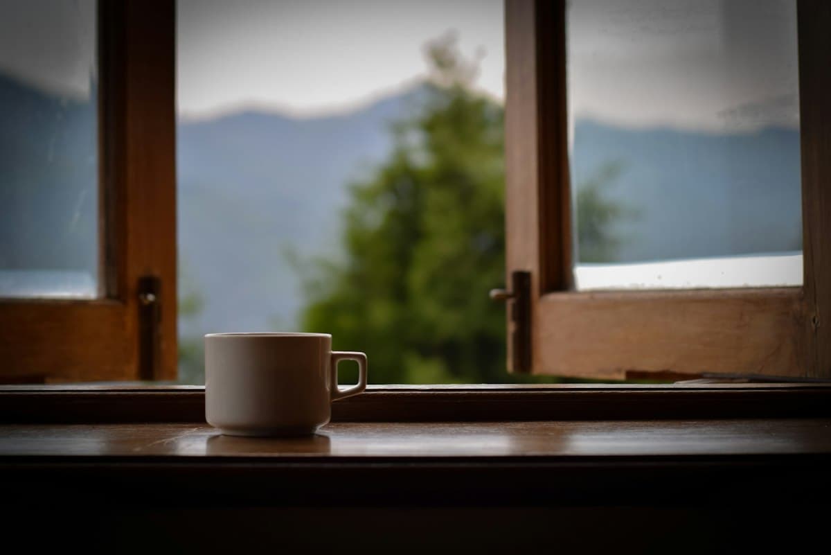 A cup of tea on a wooden windowsill, trees outside